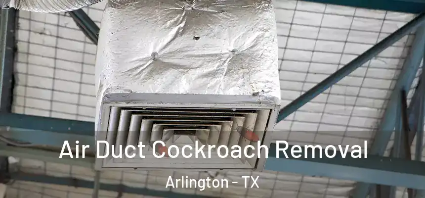  Air Duct Cockroach Removal Arlington - TX