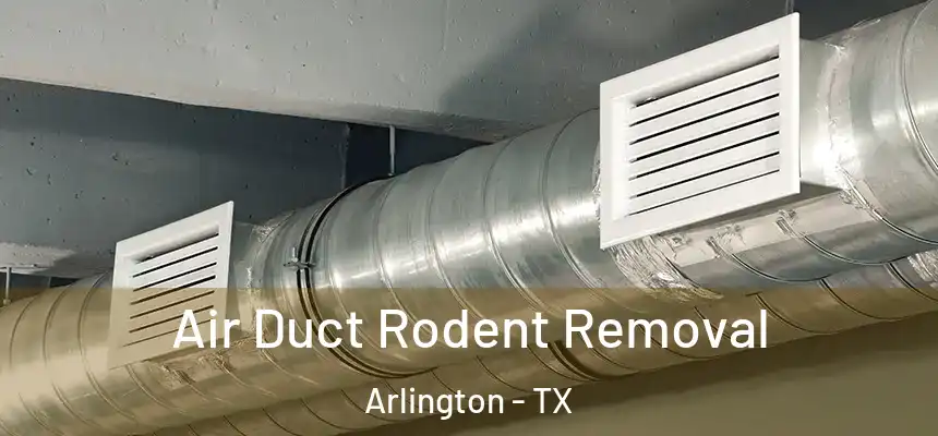  Air Duct Rodent Removal Arlington - TX