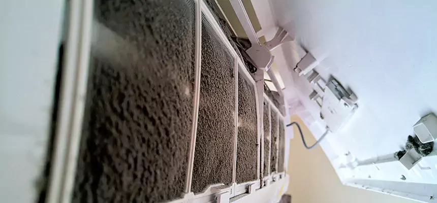 Preventive Air Duct Bacteria Removal in Arlington