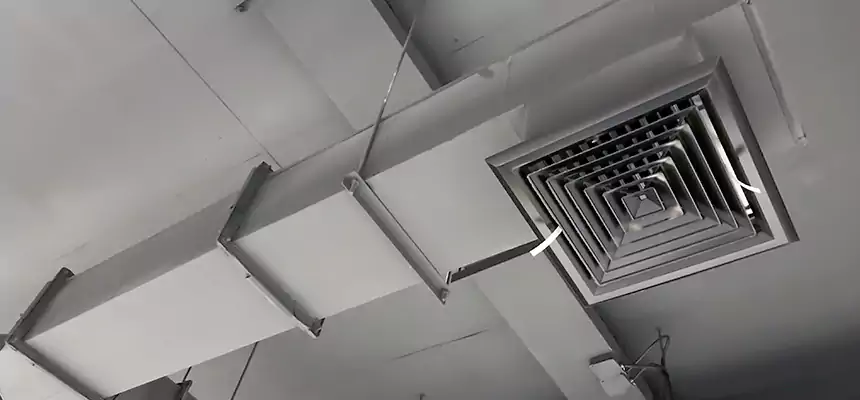 Our Rodent Droppings In Vents Services in Arlington, TX