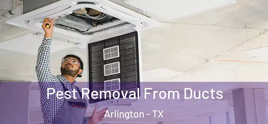  Pest Removal From Ducts Arlington - TX