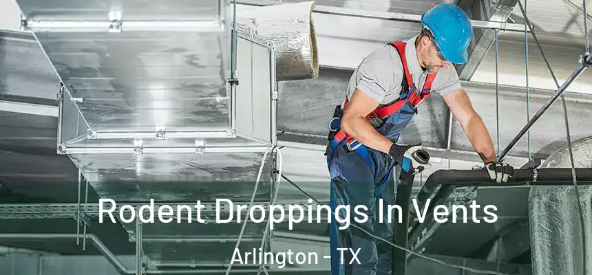  Rodent Droppings In Vents Arlington - TX