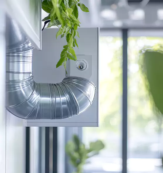 Professional Eco-Friendly Duct Cleaning Services in Arlington, TX